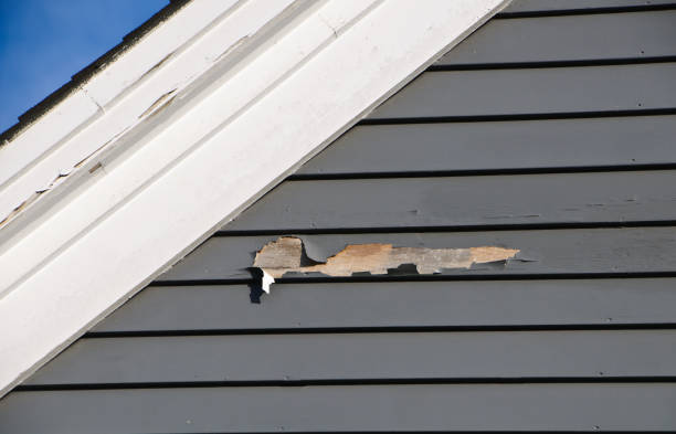 Best Custom Siding Design  in Corcoran, CA