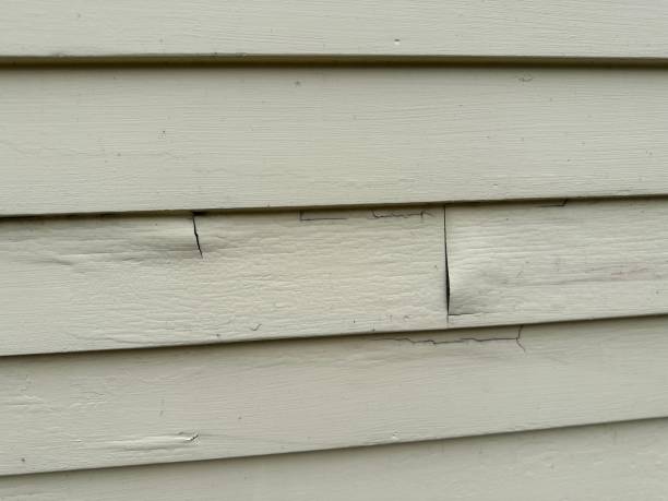 Best Brick Veneer Siding  in Corcoran, CA
